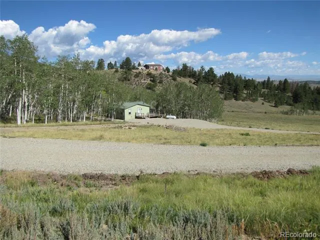 8575 Ranch Road Hartsel, CO 80449