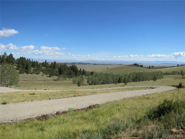 8575 Ranch Road Hartsel, CO 80449