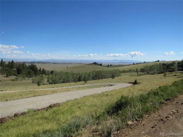 8575 Ranch Road Hartsel, CO 80449