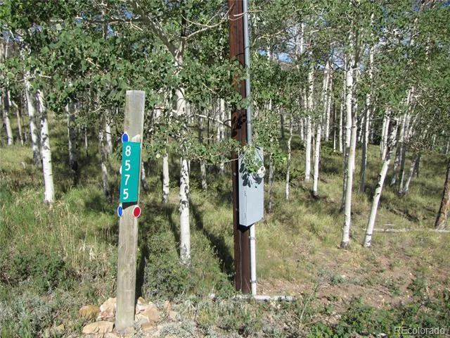 8575 Ranch Road Hartsel, CO 80449