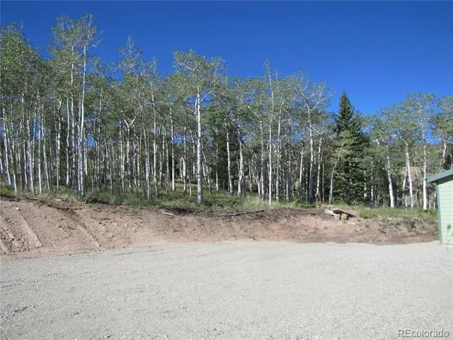 8575 Ranch Road Hartsel, CO 80449