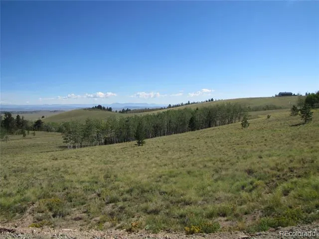 8575 Ranch Road Hartsel, CO 80449