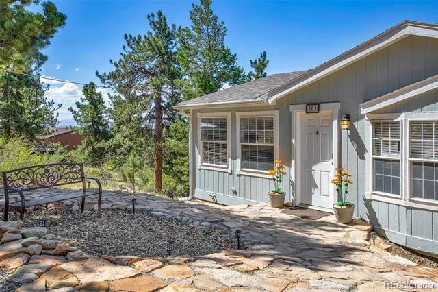 803 Bonell Drive Fairplay, CO 80440