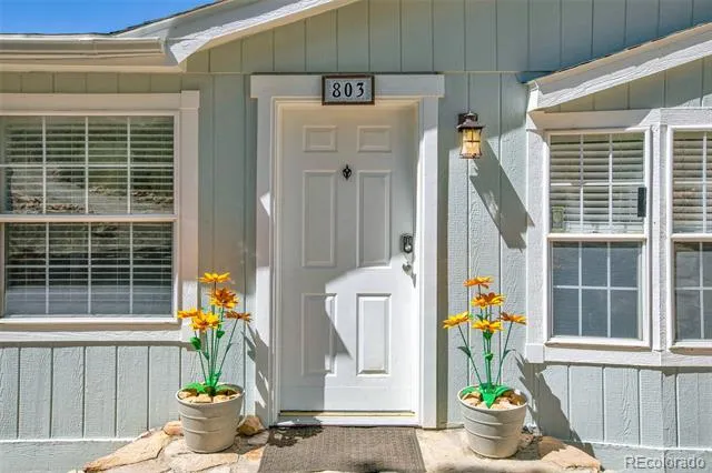 803 Bonell Drive Fairplay, CO 80440