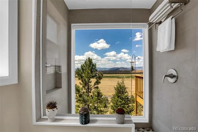 803 Bonell Drive Fairplay, CO 80440