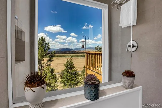 803 Bonell Drive Fairplay, CO 80440