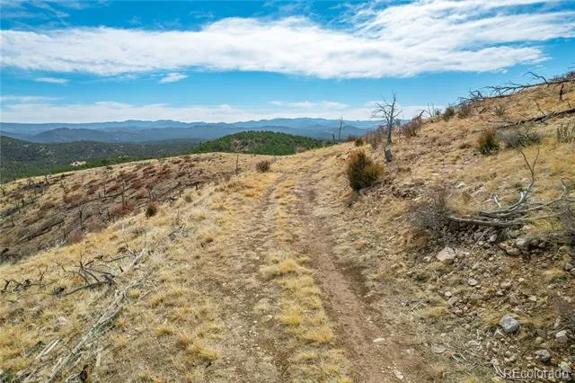 31st Trail Cotopaxi, CO 81223