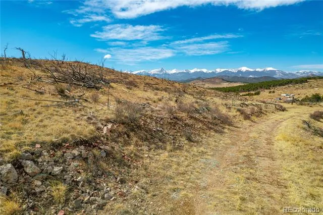 31st Trail Cotopaxi, CO 81223