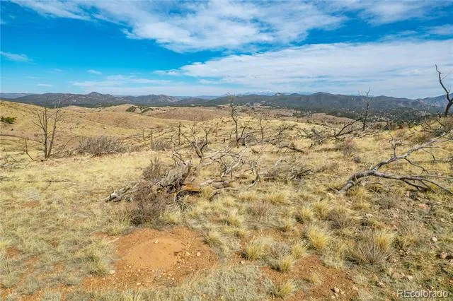 31st Trail Cotopaxi, CO 81223