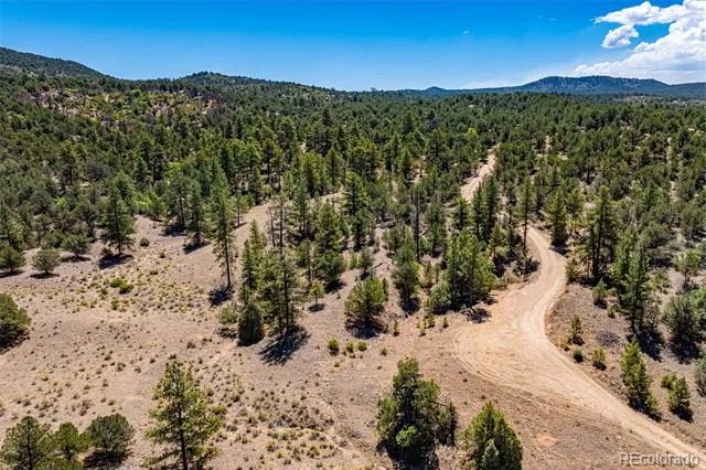 948 White Wing Way Cotopaxi, CO 81223