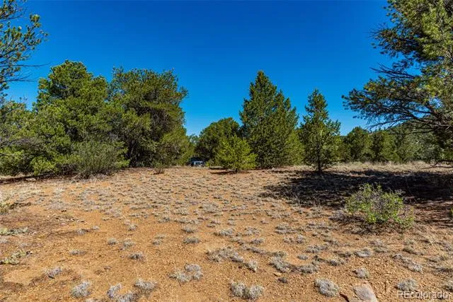 948 White Wing Way Cotopaxi, CO 81223