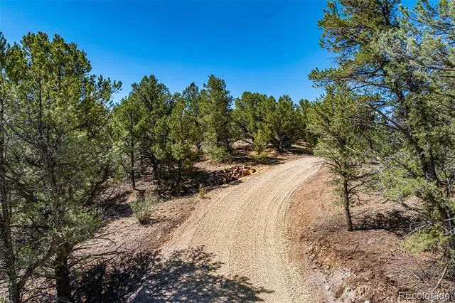 948 White Wing Way Cotopaxi, CO 81223