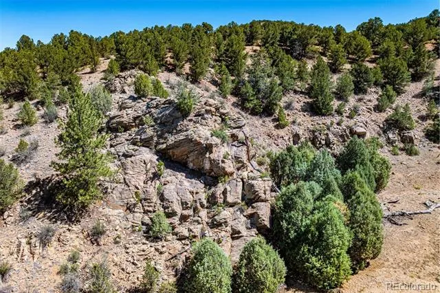 948 White Wing Way Cotopaxi, CO 81223