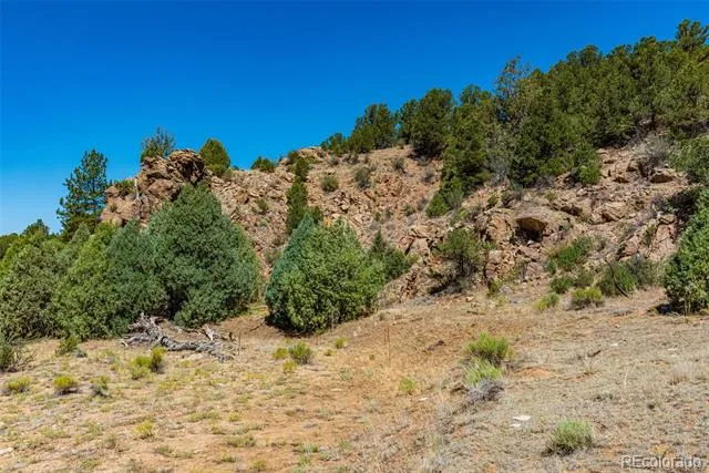 948 White Wing Way Cotopaxi, CO 81223