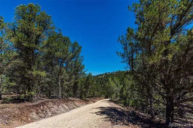 948 White Wing Way Cotopaxi, CO 81223