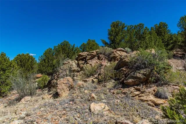 948 White Wing Way Cotopaxi, CO 81223