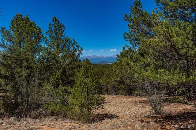 948 White Wing Way Cotopaxi, CO 81223