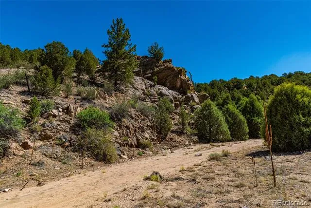 948 White Wing Way Cotopaxi, CO 81223