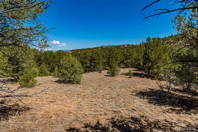948 White Wing Way Cotopaxi, CO 81223