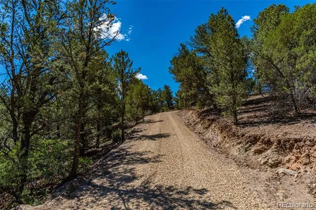 948 White Wing Way Cotopaxi, CO 81223