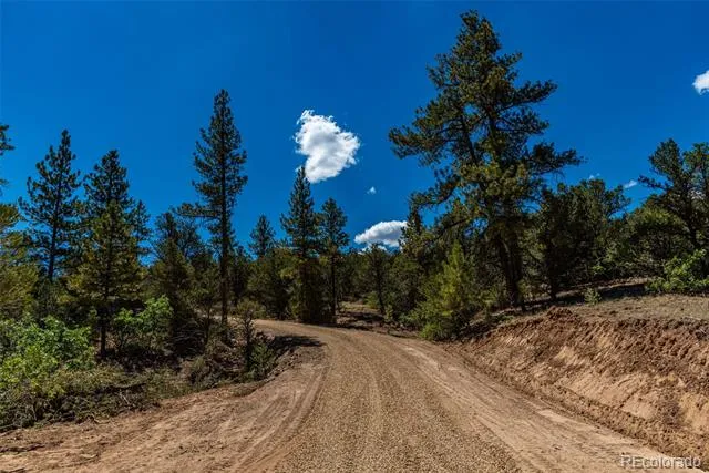 948 White Wing Way Cotopaxi, CO 81223