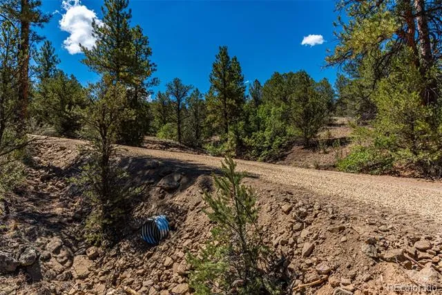 948 White Wing Way Cotopaxi, CO 81223