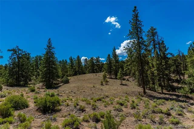 948 White Wing Way Cotopaxi, CO 81223