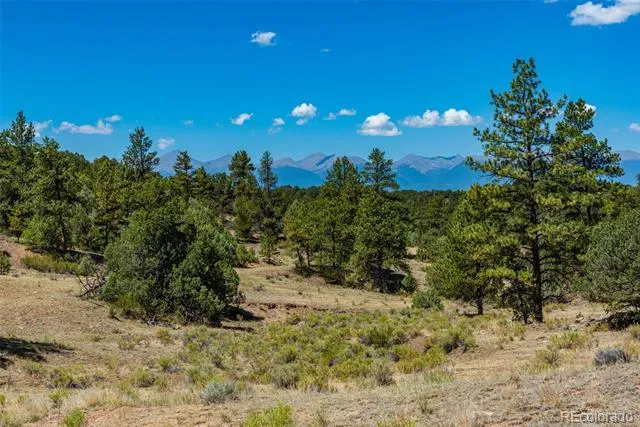 948 White Wing Way Cotopaxi, CO 81223