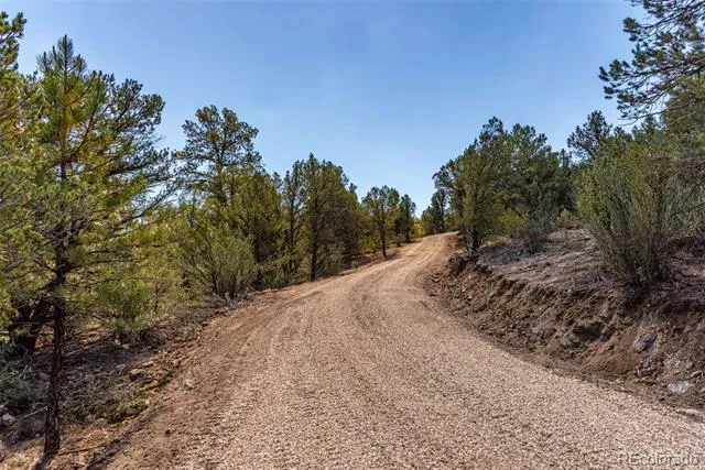 948 White Wing Way Cotopaxi, CO 81223
