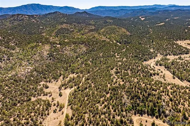 948 White Wing Way Cotopaxi, CO 81223