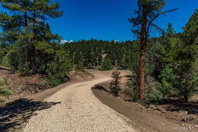 948 White Wing Way Cotopaxi, CO 81223