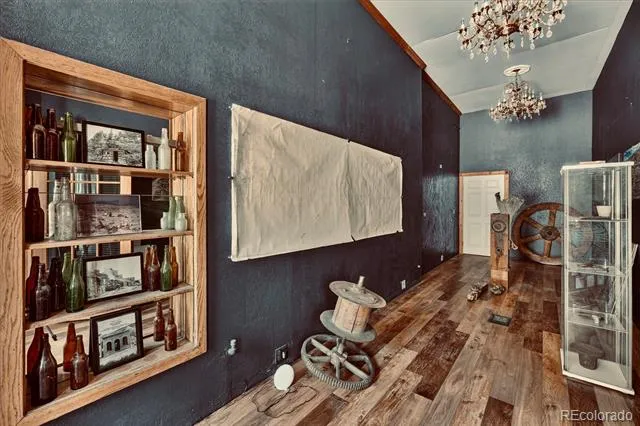 241 Gregory Street Black Hawk, CO 80422