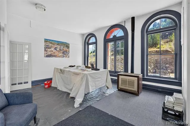 241 Gregory Street Black Hawk, CO 80422
