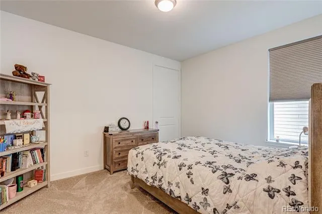 25 Wooten Avenue Brighton, CO 80601