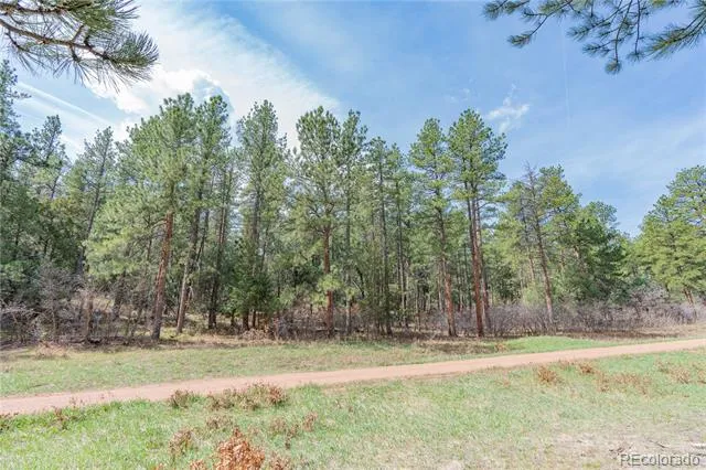 8257 Bannock Drive Larkspur, CO 80118