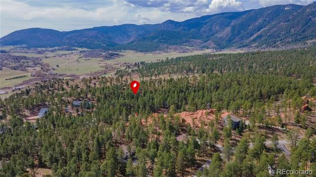 8257 Bannock Drive Larkspur, CO 80118