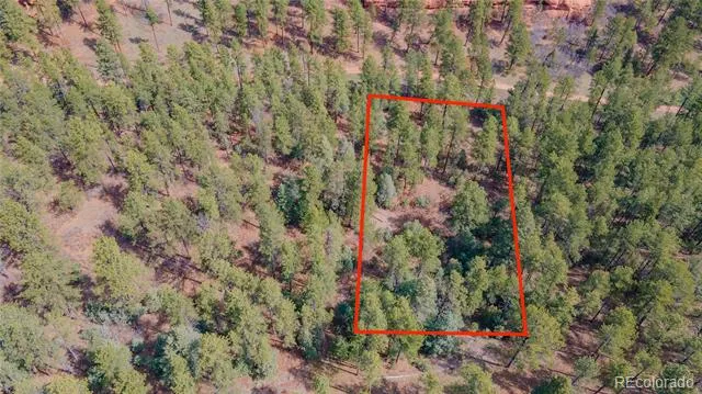 8257 Bannock Drive Larkspur, CO 80118