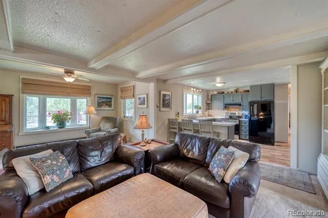30350 County Road 383 Buena Vista, CO 81211