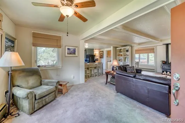 30350 County Road 383 Buena Vista, CO 81211