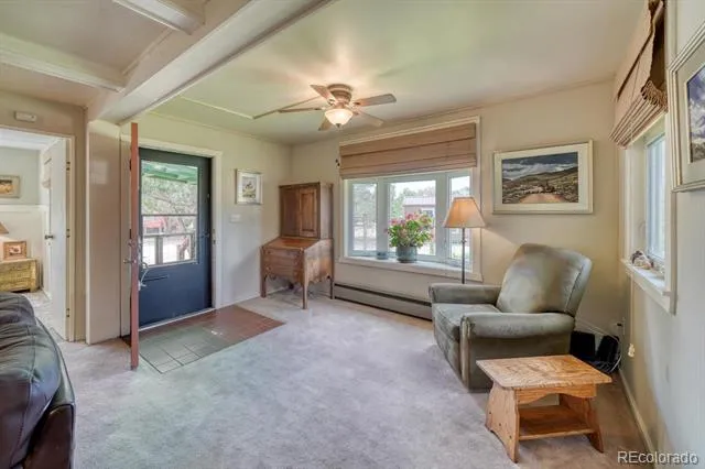 30350 County Road 383 Buena Vista, CO 81211