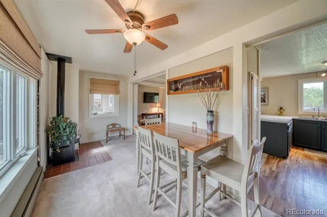 30350 County Road 383 Buena Vista, CO 81211
