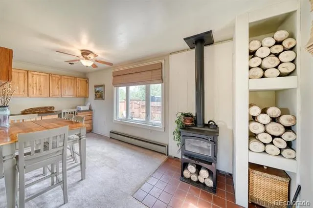 30350 County Road 383 Buena Vista, CO 81211