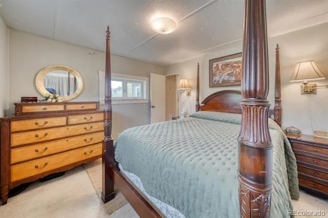 30350 County Road 383 Buena Vista, CO 81211