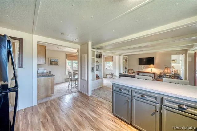 30350 County Road 383 Buena Vista, CO 81211