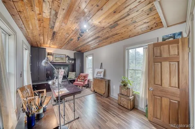 30350 County Road 383 Buena Vista, CO 81211