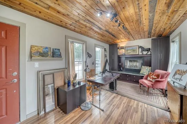 30350 County Road 383 Buena Vista, CO 81211