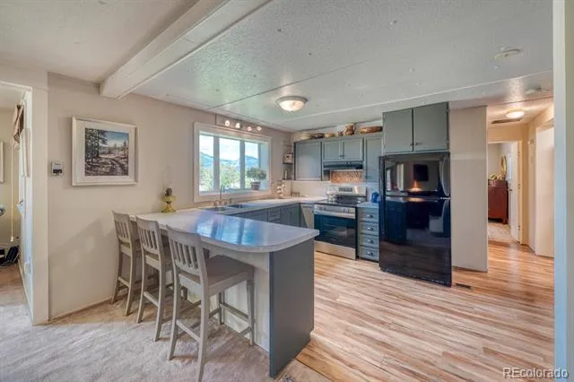 30350 County Road 383 Buena Vista, CO 81211