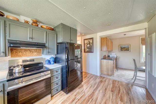 30350 County Road 383 Buena Vista, CO 81211