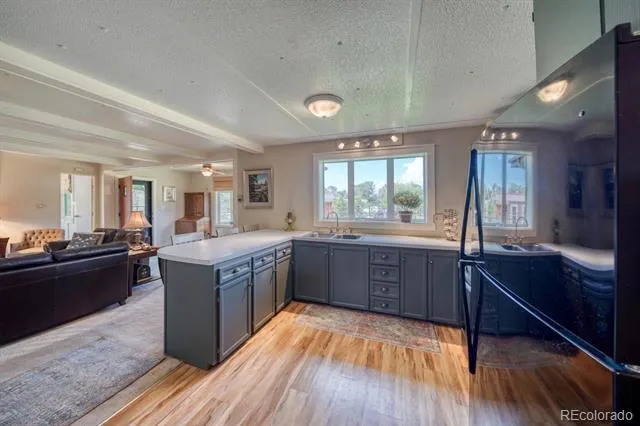 30350 County Road 383 Buena Vista, CO 81211