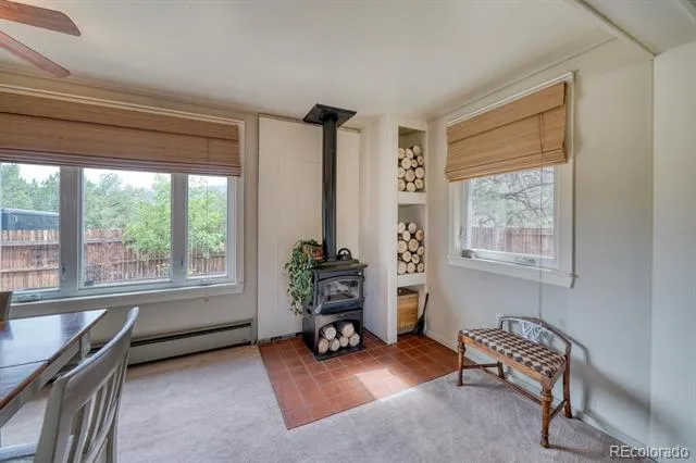 30350 County Road 383 Buena Vista, CO 81211